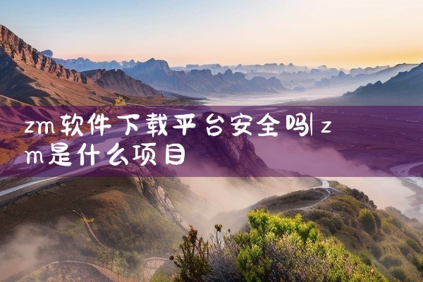 zm软件下载平台安全吗