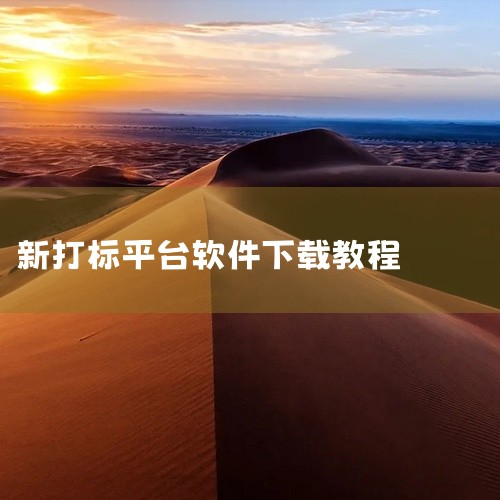 标签软件的下载方式可以通过访问官方网站或应用商店进行。访问官方网站下载：用户可以直接在浏览器中输入标签软件的官方网站地址进行下载。例如，DLabel云标签app的官方网站为https://dlabel|