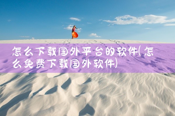 怎么下载国外平台的软件