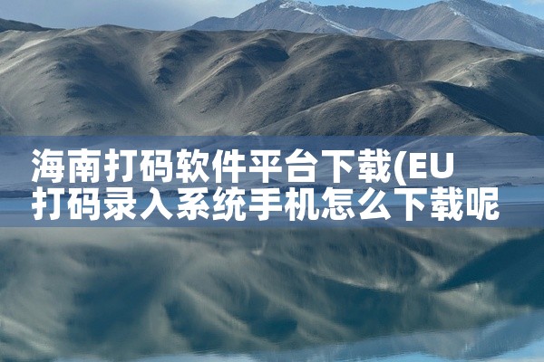 海南打码软件平台下载