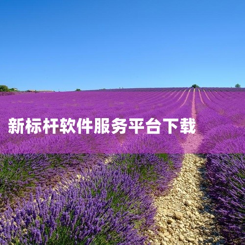 国产软件测试新标杆:Gitee Test如何重塑关键领域质量防线|云客工作手机系统？|求百度高考智能服务平台app下载百度高考服务平台软件下载v15.45.0.|