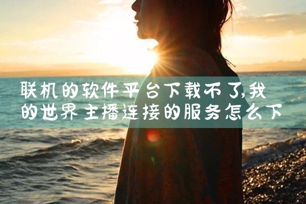 联机的软件平台下载不了