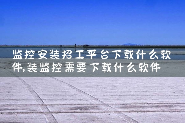 平台在那里下载软件