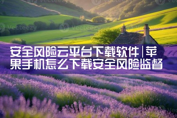安全风险云平台下载软件