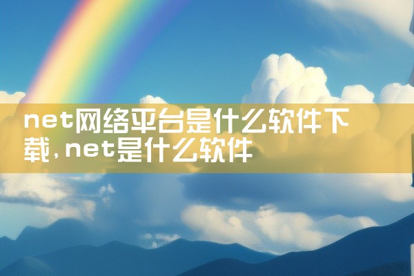 net网络平台是什么软件下载