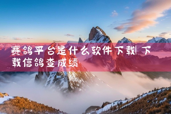 赛鸽平台是什么软件下载