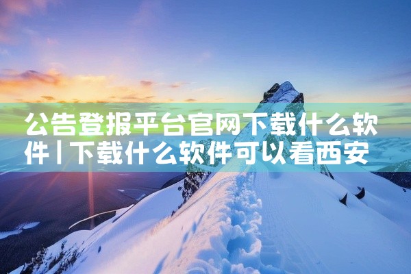 公告登报平台官网下载什么软件