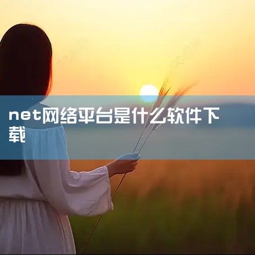 一是.NET框架，它是用于开发Windows应用、Web服务等的软件开发框架，可用于开发Web应用（如ASP.NET Core）、桌面应用（WinForms/WPF）、移动应用（Xamarin）、游戏|