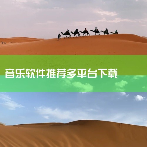 听歌软件推荐《汽水音乐》《网易云音乐》《酷狗音乐》《索尼精选Hi-Res音乐》等，不同软件各有特色，可根据需求选择。追求个性化推荐与短视频联动，可选《汽水音乐》作为抖音官方授权应用，其核心优势在于算法,